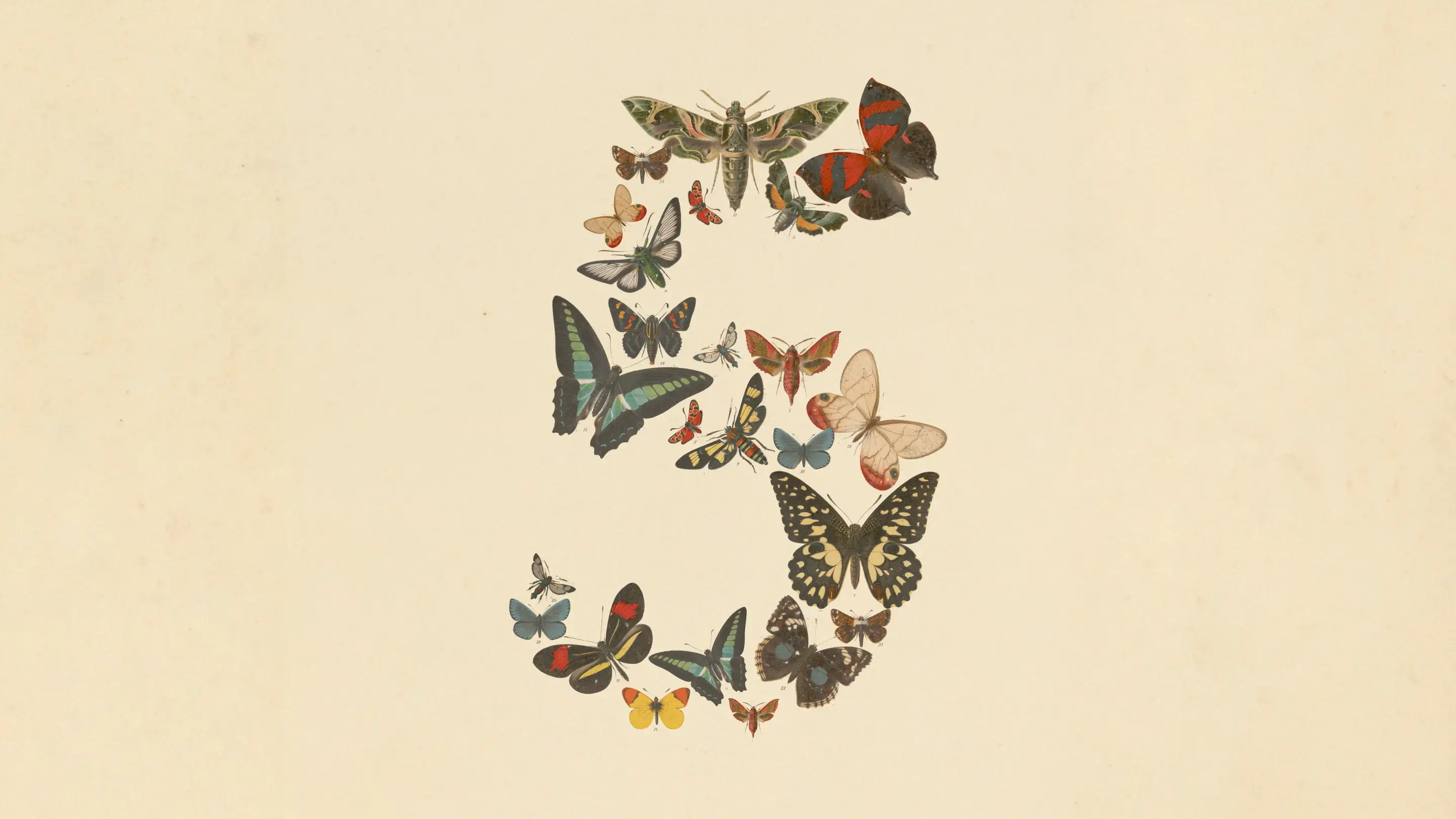 anthropic fable 5 logo
