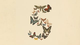 anthropic fable 5 logo